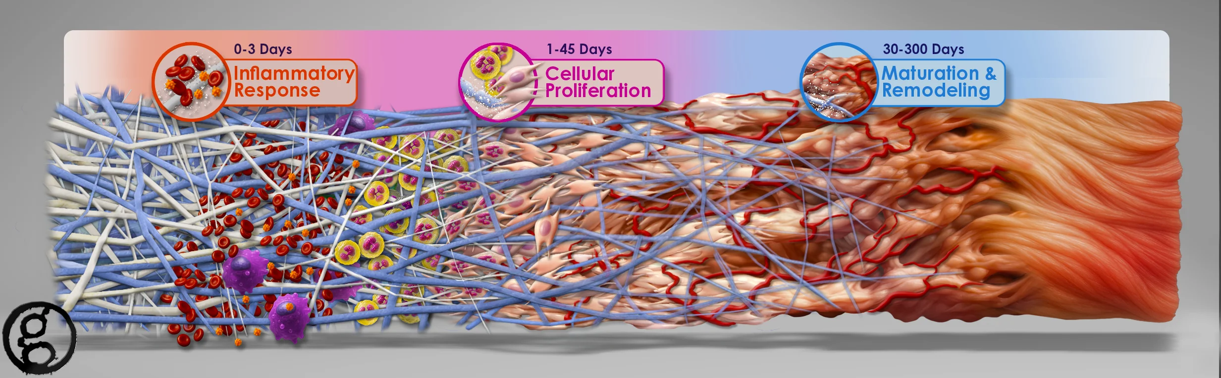 Ghost MOA Infographic